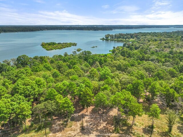 TBD Shadow Pine Drive, Larue, TX 75770