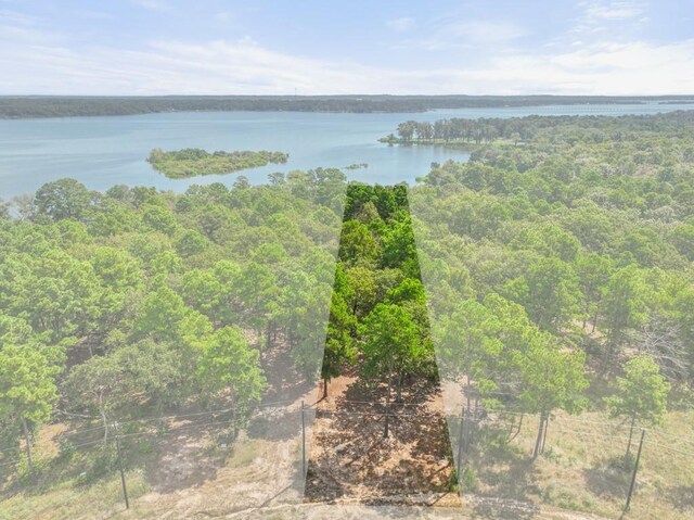 TBD Shadow Pine Drive, Larue, TX 75770
