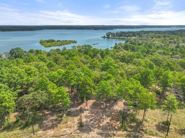 TBD Shadow Pine Drive, Larue, TX 75770