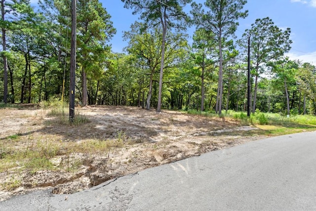 TBD Shadow Pine Drive, Larue, TX 75770