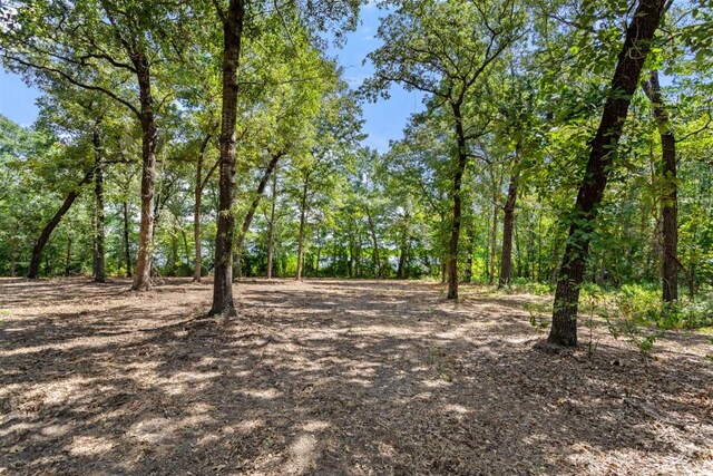 TBD Shadow Pine Drive, Larue, TX 75770