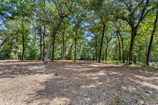 TBD Shadow Pine Drive, Larue, TX 75770