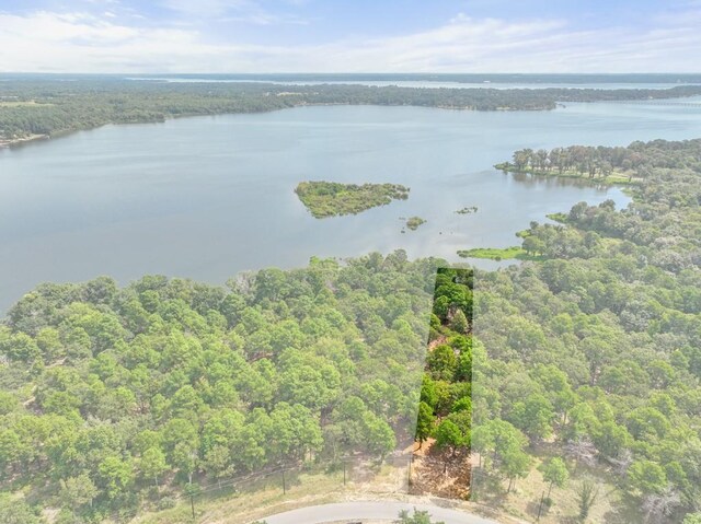 TBD Shadow Pine Drive, Larue, TX 75770