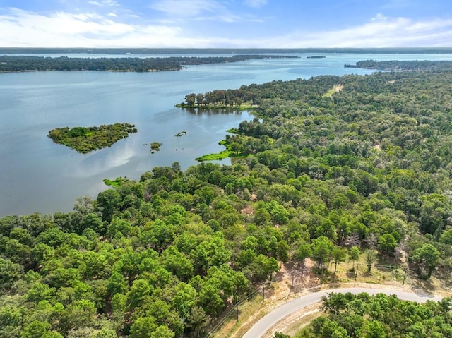 TBD Shadow Pine Drive, Larue, TX 75770