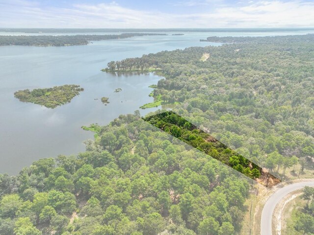 TBD Shadow Pine Drive, Larue, TX 75770