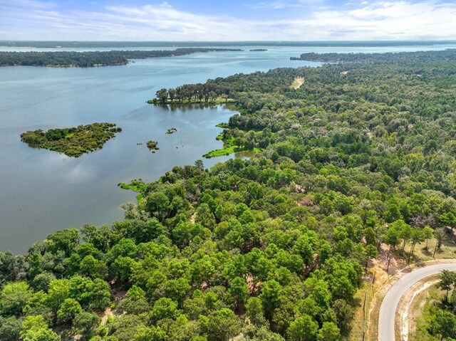 TBD Shadow Pine Drive, Larue, TX 75770