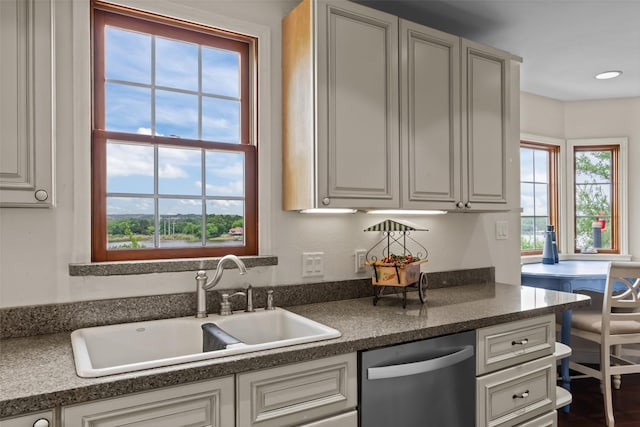 2510 River Ridge Court, Granbury, TX 76048 - kitchen with dishwasher, a sink, and dark countertops