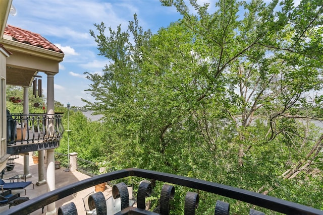 2510 River Ridge Court, Granbury, TX 76048 - view of balcony