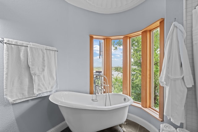 2510 River Ridge Court, Granbury, TX 76048 - bathroom with a freestanding bath, baseboards, and tile patterned floors