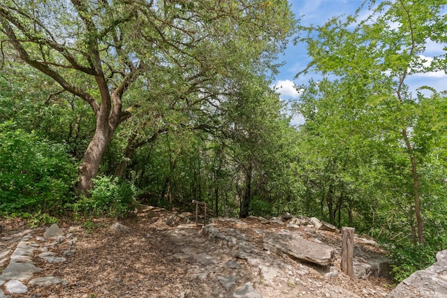2510 River Ridge Court, Granbury, TX 76048 - view of woods