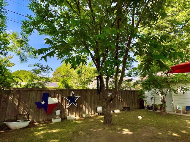 2217 Linwood Ln, Irving, TX 75061 - view of fenced backyard