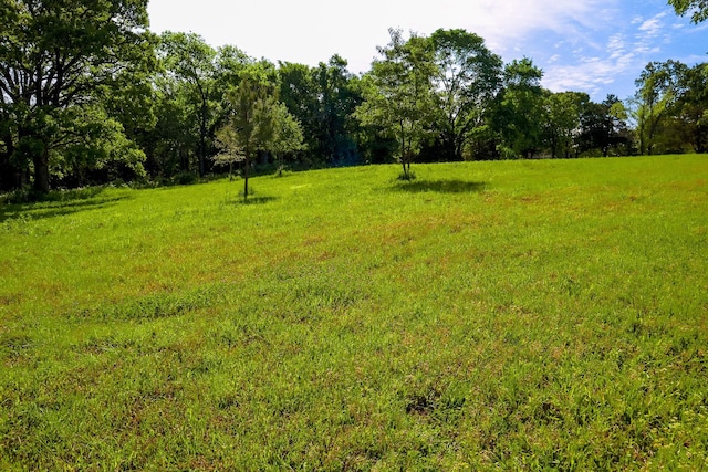 TBD Fm 859, Canton, TX 75103