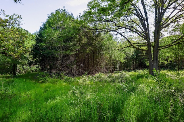 TBD Fm 859, Canton, TX 75103