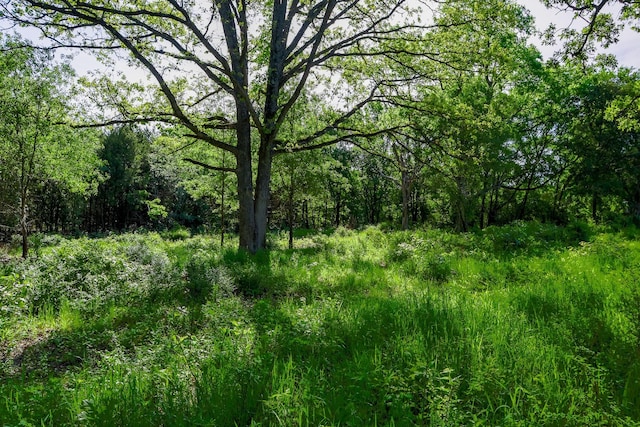TBD Fm 859, Canton, TX 75103