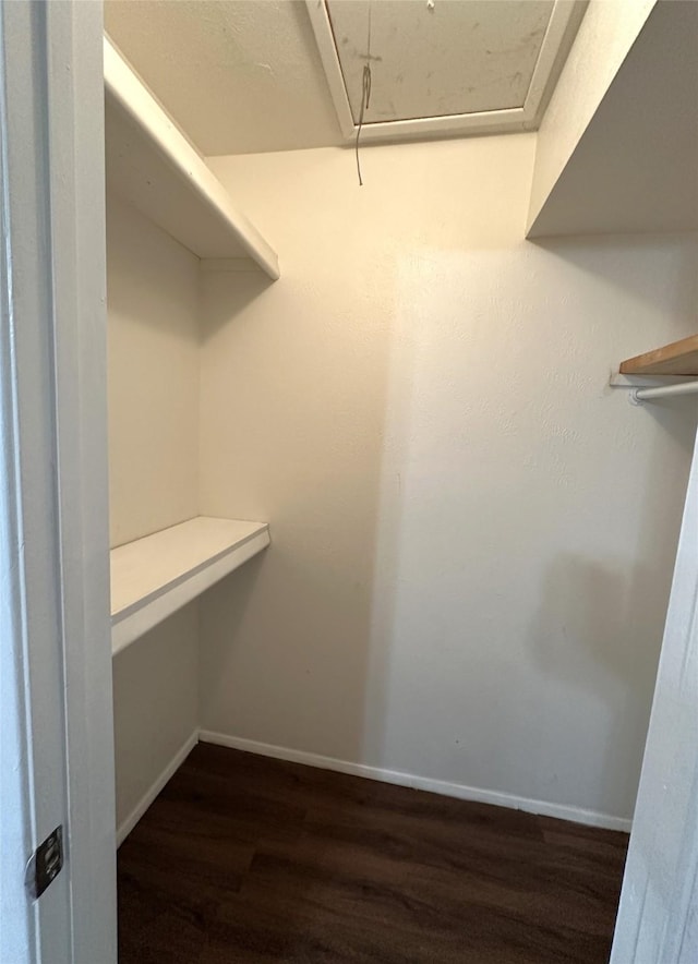 4629 Chapman St, The Colony, TX 75056 - walk in closet featuring dark wood finished floors and attic access
