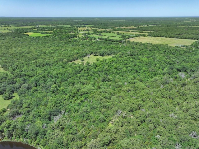 878 Vz County Road 1314, Grand Saline, TX 75140