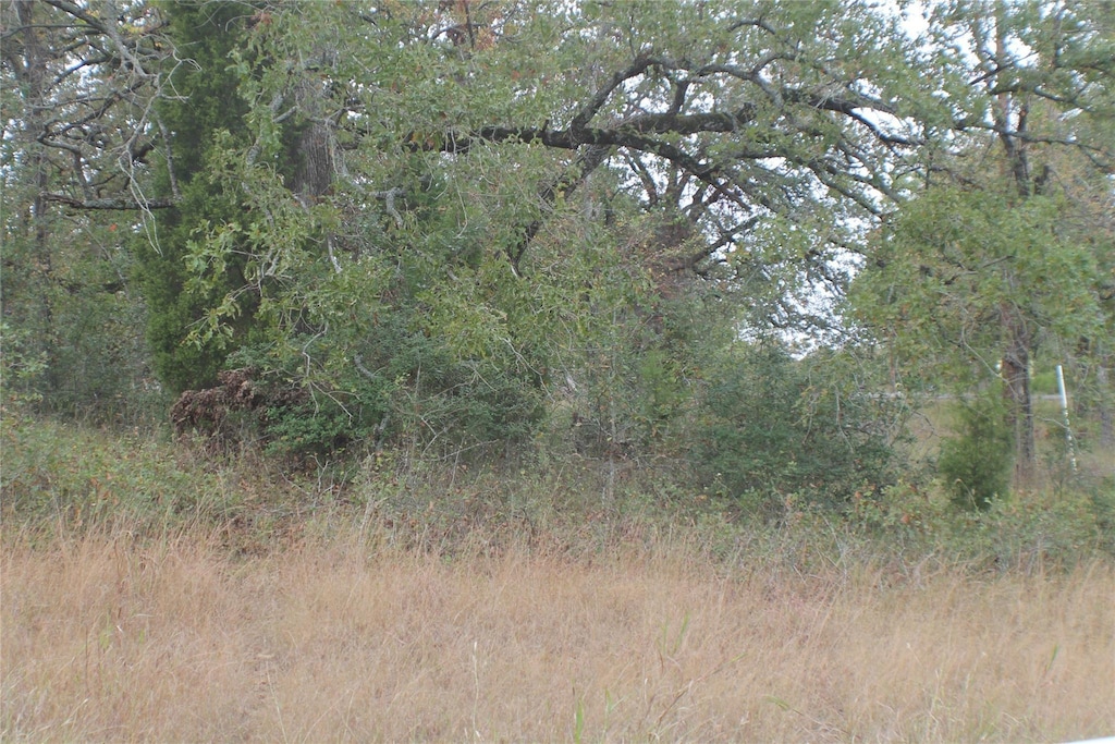 355 Buena Vis, Malakoff, TX 75148