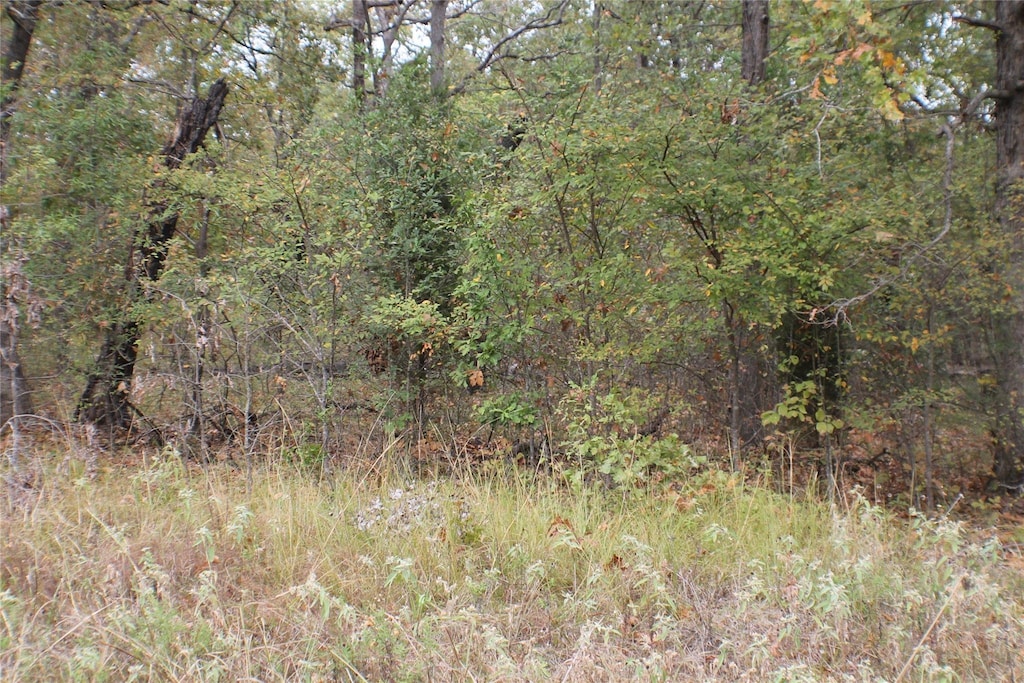 355 Buena Vis, Malakoff, TX 75148