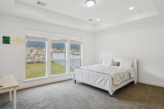 616 Evergreen Rd, Little Elm, TX 76227 - bedroom with a tray ceiling, carpet floors, multiple windows, and recessed lighting