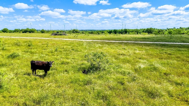TBD SW County Road 4250, Dawson, TX 76639