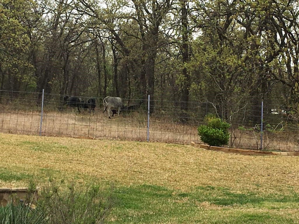 2409 Southern Hills Ct, Keller, TX 76248 - view of yard