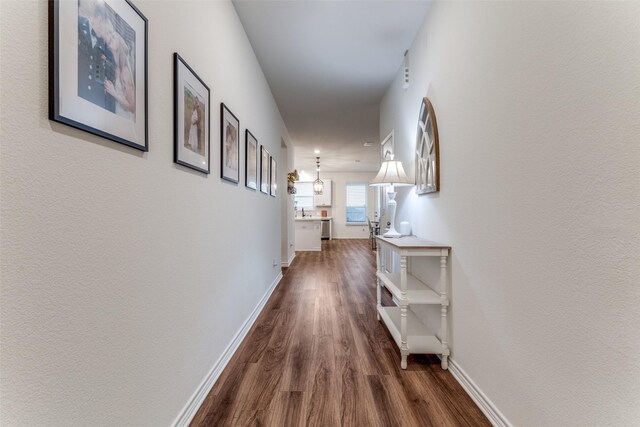 8744 Sleepy Daisy Dr, Fort Worth, TX 76131 - hall featuring dark wood-style floors and baseboards