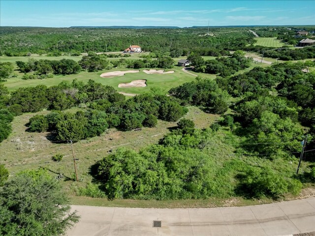 TBD Bay Hill Dr, Possum Kingdom Lake, TX 76449