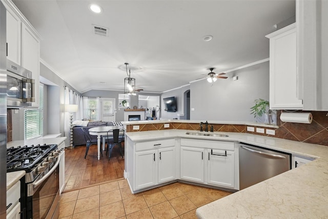 2101 Creekdale Dr, Denton, TX 76210 - kitchen featuring appliances with stainless steel finishes, a ceiling fan, open floor plan, a sink, and crown molding