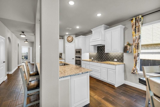 914 Park Vista Dr, Justin, TX 76247 - kitchen featuring stainless steel appliances, premium range hood, baseboards, decorative backsplash, and a sink