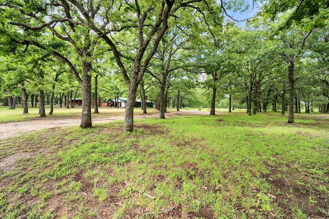 1890 Oak Valley Ln, Corsicana, TX 75110 - view of yard