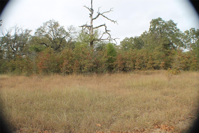 26 Boca Chica, Malakoff, TX 75148