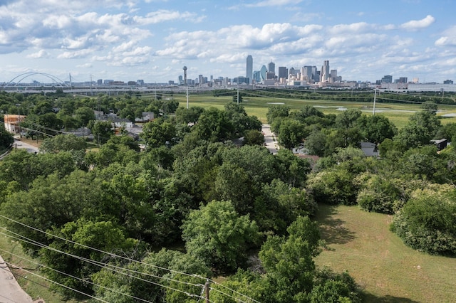 1610 Canyon St, Dallas, TX 75203