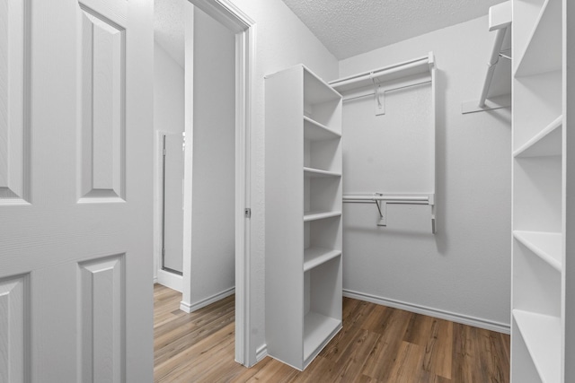 1132 Singletree Dr, Forney, TX 75126 - walk in closet with wood finished floors