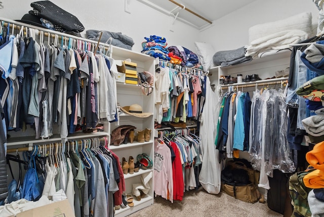 1063 Dominique Dr, Weatherford, TX 76087 - walk in closet with carpet
