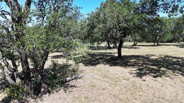 1170 Lookout Pt, Stephenville, TX 76401