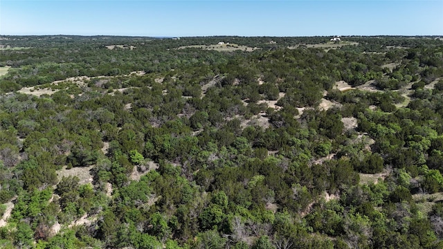 1170 Lookout Pt, Stephenville, TX 76401