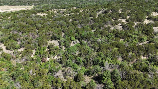 1170 Lookout Pt, Stephenville, TX 76401