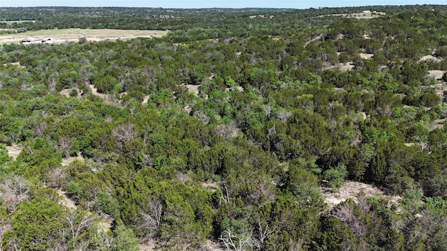 1170 Lookout Pt, Stephenville, TX 76401