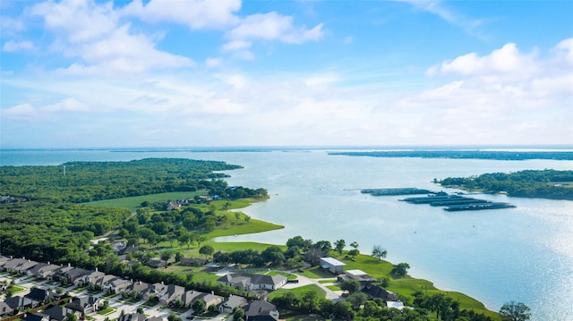 11701 Parade Dr, Frisco, TX 75036 - aerial perspective of suburban area with a nearby body of water