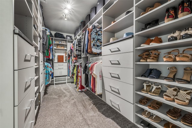 7812 Rancho De La Osa Trl, Mckinney, TX 75070 - spacious closet featuring carpet floors