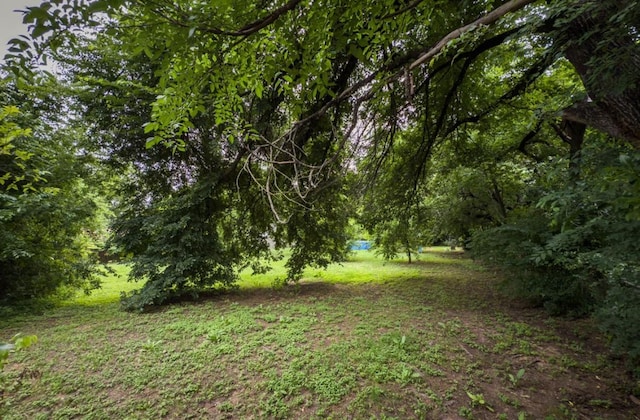 700 Magnolia St, Teague, TX 75860 - view of yard