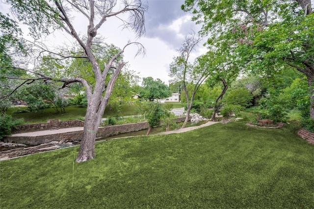 2972 Maydelle Ln, Farmers Branch, TX 75234 - view of green lawn