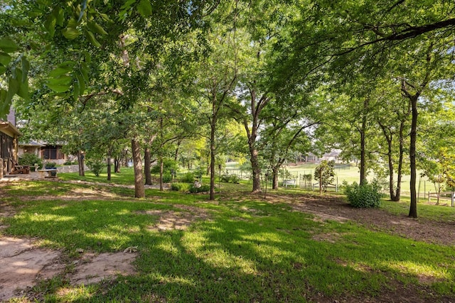 3712 Lonesome Creek Rd, Granbury, TX 76049 - view of green lawn