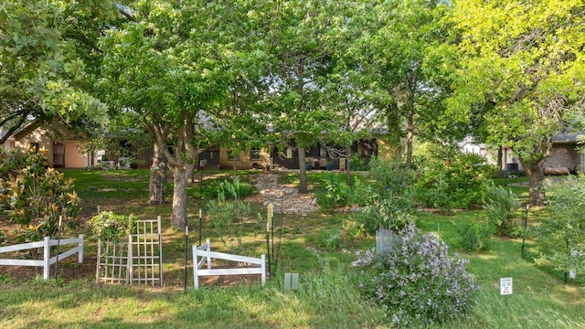 3712 Lonesome Creek Rd, Granbury, TX 76049 - view of yard