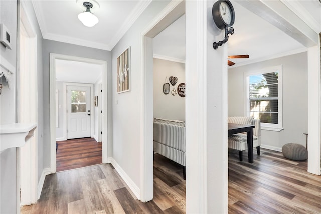 6505 Oakwood Lake Ct, Granbury, TX 76049 - hallway featuring wood finished floors, ornamental molding, and baseboards