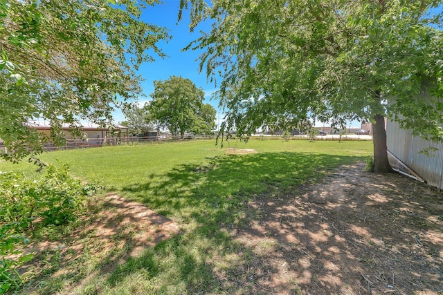 309 School House Rd, Paradise, TX 76073 - view of yard