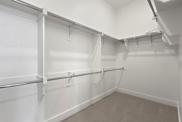 1812 Welker Dr, Van Alstyne, TX 75495 - walk in closet with light colored carpet