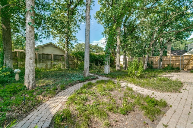 907 Glen Dell Dr, Irving, TX 75061 - view of yard