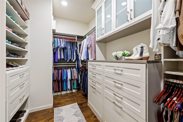 655 Creekway Dr, Irving, TX 75039 - walk in closet featuring dark wood-type flooring