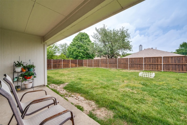 9912 Fillmore Dr, Mckinney, TX 75072 - view of yard featuring a patio area